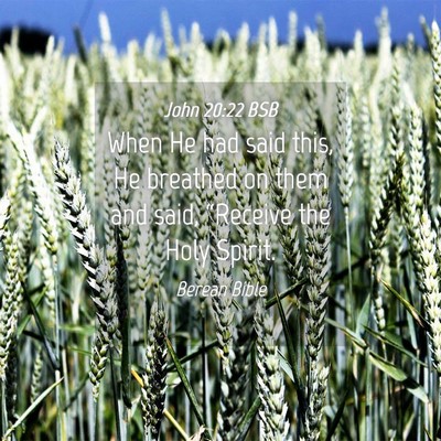 Picture 04 - John 20:22 BSB - When He had said this, He breathed on them and - Bible Verse Picture