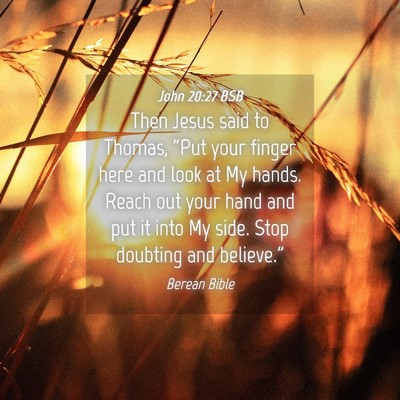 Picture 04 - John 20:27 BSB - Then Jesus said to Thomas, “Put your finger - Bible Verse Picture
