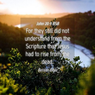 Picture 04 - John 20:9 BSB - For they still did not understand from the - Bible Verse Picture