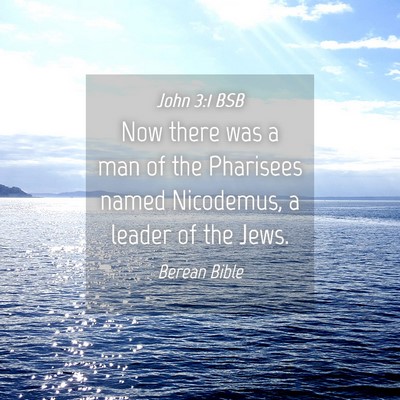 Picture 04 - John 3:1 BSB - Now there was a man of the Pharisees named - Bible Verse Picture