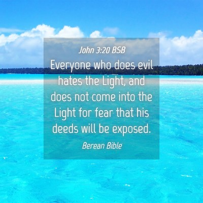 Picture 04 - John 3:20 BSB - Everyone who does evil hates the Light, and does - Bible Verse Picture