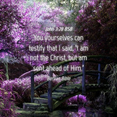Picture 04 - John 3:28 BSB - You yourselves can testify that I said, ‘I am - Bible Verse Picture