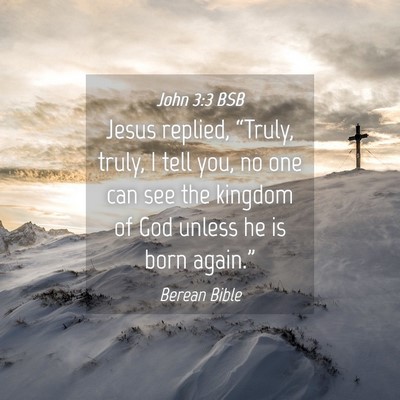 Picture 04 - John 3:3 BSB - Jesus replied, “Truly, truly, I tell you, no - Bible Verse Picture