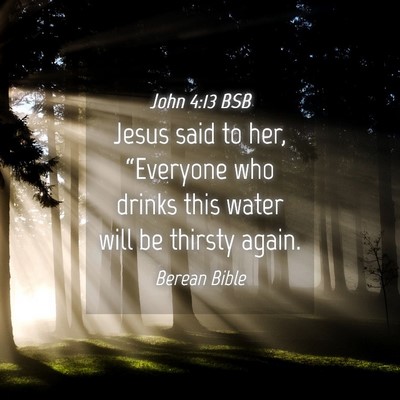 Picture 04 - John 4:13 BSB - Jesus said to her, “Everyone who drinks this - Bible Verse Picture