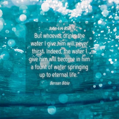 Picture 04 - John 4:14 BSB - But whoever drinks the water I give him will - Bible Verse Picture