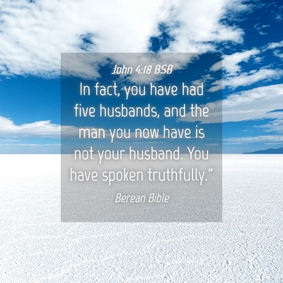 Picture 04 - John 4:18 BSB - In fact, you have had five husbands, and the man - Bible Verse Picture
