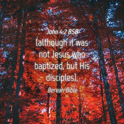 Picture 04 - John 4:2 BSB - (although it was not Jesus who baptized, but His - Bible Verse Picture