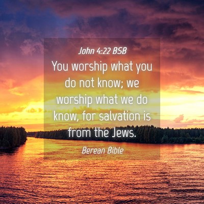 Picture 04 - John 4:22 BSB - You worship what you do not know; we worship what - Bible Verse Picture
