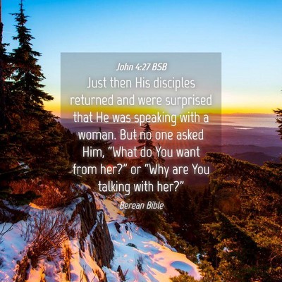 Picture 04 - John 4:27 BSB - Just then His disciples returned and were - Bible Verse Picture