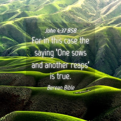 Picture 04 - John 4:37 BSB - For in this case the saying ‘One sows and - Bible Verse Picture