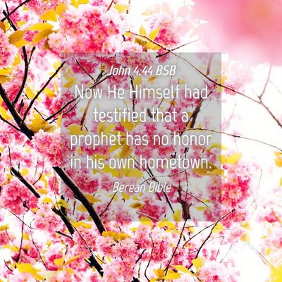 Picture 04 - John 4:44 BSB - Now He Himself had testified that a prophet has - Bible Verse Picture