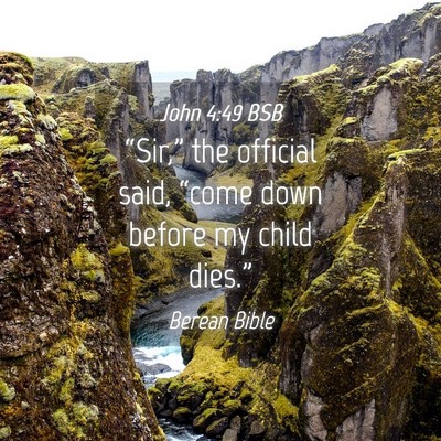 Picture 04 - John 4:49 BSB - “Sir,” the official said, “come down before - Bible Verse Picture