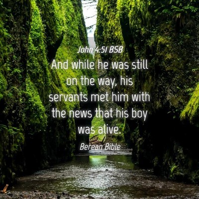Picture 04 - John 4:51 BSB - And while he was still on the way, his servants - Bible Verse Picture