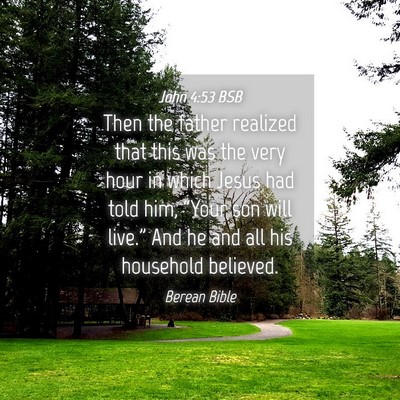 Picture 04 - John 4:53 BSB - Then the father realized that this was the very - Bible Verse Picture