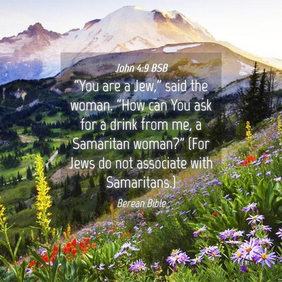 Picture 04 - John 4:9 BSB - “You are a Jew,” said the woman. “How can - Bible Verse Picture