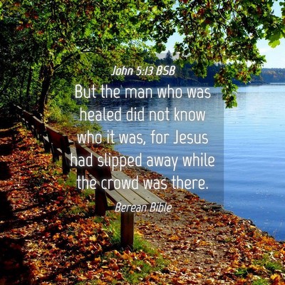 Picture 04 - John 5:13 BSB - But the man who was healed did not know who it - Bible Verse Picture