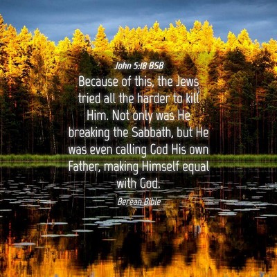 Picture 04 - John 5:18 BSB - Because of this, the Jews tried all the harder to - Bible Verse Picture