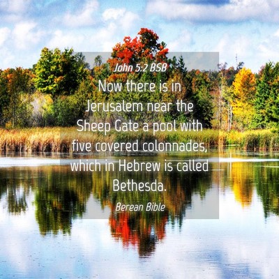 Picture 04 - John 5:2 BSB - Now there is in Jerusalem near the Sheep Gate a - Bible Verse Picture