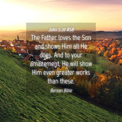 Picture 04 - John 5:20 BSB - The Father loves the Son and shows Him all He - Bible Verse Picture
