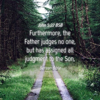 Picture 04 - John 5:22 BSB - Furthermore, the Father judges no one, but has - Bible Verse Picture