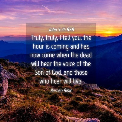 Picture 04 - John 5:25 BSB - Truly, truly, I tell you, the hour is coming and - Bible Verse Picture