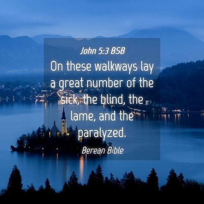 Picture 04 - John 5:3 BSB - On these walkways lay a great number of the sick, - Bible Verse Picture