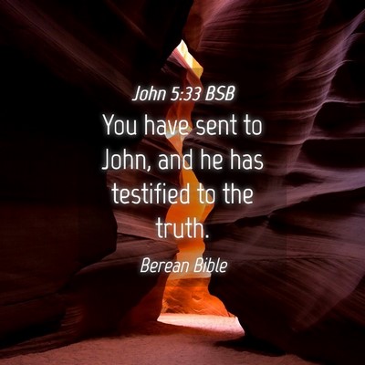 Picture 04 - John 5:33 BSB - You have sent to John, and he has testified to - Bible Verse Picture