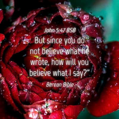 Picture 04 - John 5:47 BSB - But since you do not believe what he wrote, how - Bible Verse Picture
