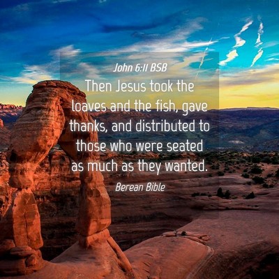 Picture 04 - John 6:11 BSB - Then Jesus took the loaves and the fish, gave - Bible Verse Picture