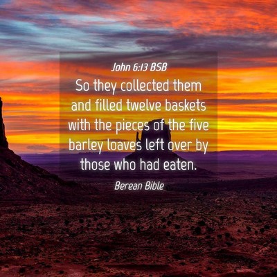 Picture 04 - John 6:13 BSB - So they collected them and filled twelve baskets - Bible Verse Picture