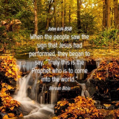 Picture 04 - John 6:14 BSB - When the people saw the sign that Jesus had - Bible Verse Picture