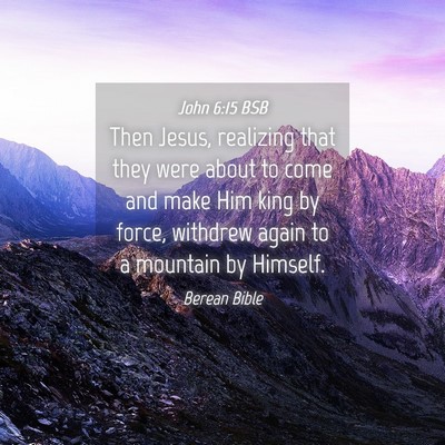 Picture 04 - John 6:15 BSB - Then Jesus, realizing that they were about to - Bible Verse Picture