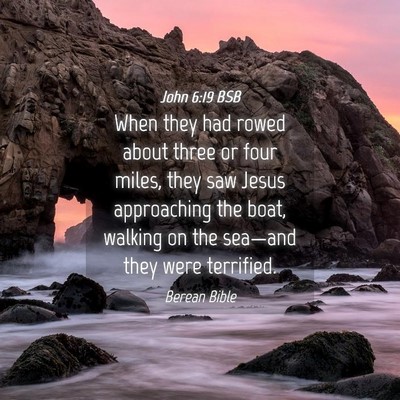 Picture 04 - John 6:19 BSB - When they had rowed about three or four miles, - Bible Verse Picture