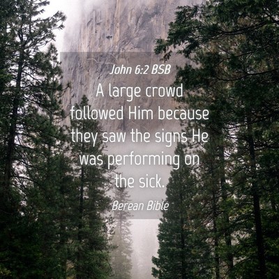 Picture 04 - John 6:2 BSB - A large crowd followed Him because they saw the - Bible Verse Picture