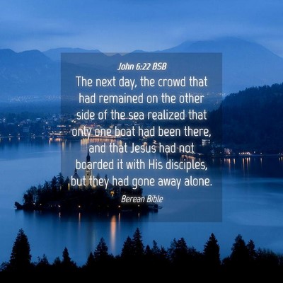 Picture 04 - John 6:22 BSB - The next day, the crowd that had remained on the - Bible Verse Picture
