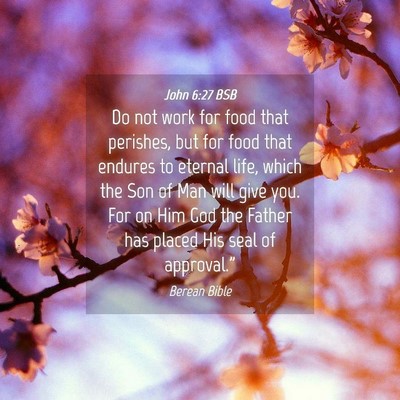 Picture 04 - John 6:27 BSB - Do not work for food that perishes, but for food - Bible Verse Picture