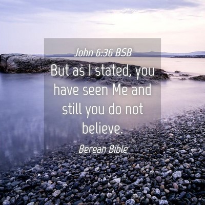 Picture 04 - John 6:36 BSB - But as I stated, you have seen Me and still you - Bible Verse Picture