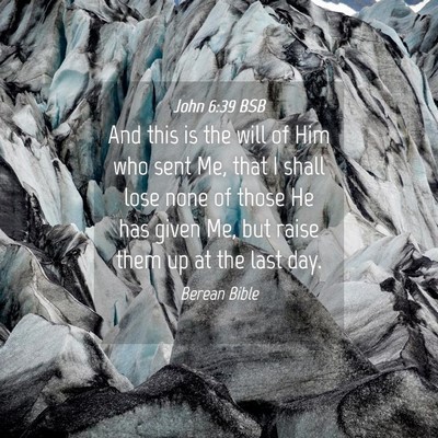 Picture 04 - John 6:39 BSB - And this is the will of Him who sent Me, that I - Bible Verse Picture
