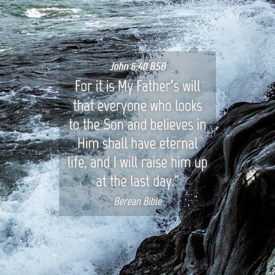Picture 04 - John 6:40 BSB - For it is My Father’s will that everyone who - Bible Verse Picture
