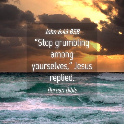 Picture 04 - John 6:43 BSB - “Stop grumbling among yourselves,” Jesus - Bible Verse Picture