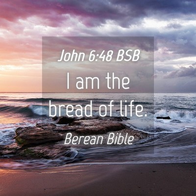Picture 04 - John 6:48 BSB - I am the bread of - Bible Verse Picture