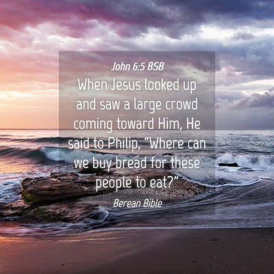 Picture 04 - John 6:5 BSB - When Jesus looked up and saw a large crowd coming - Bible Verse Picture