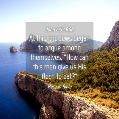 Picture 04 - John 6:52 BSB - At this, the Jews began to argue among - Bible Verse Picture