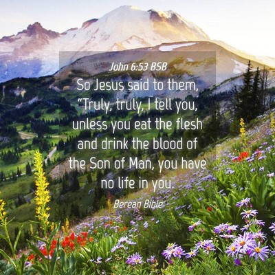Picture 04 - John 6:53 BSB - So Jesus said to them, “Truly, truly, I tell - Bible Verse Picture