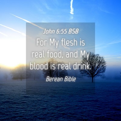 Picture 04 - John 6:55 BSB - For My flesh is real food, and My blood is real - Bible Verse Picture
