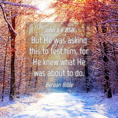 Picture 04 - John 6:6 BSB - But He was asking this to test him, for He knew - Bible Verse Picture
