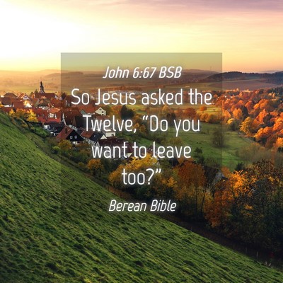 Picture 04 - John 6:67 BSB - So Jesus asked the Twelve, “Do you want to - Bible Verse Picture