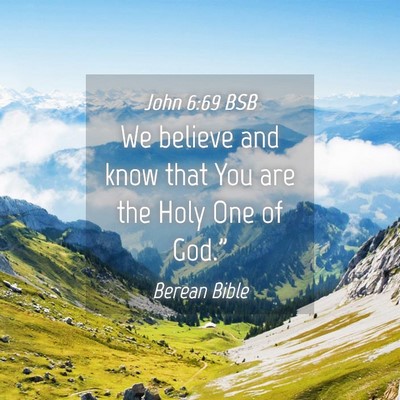 Picture 04 - John 6:69 BSB - We believe and know that You are the Holy One of - Bible Verse Picture