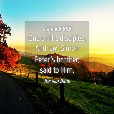 Picture 04 - John 6:8 BSB - One of His disciples, Andrew, Simon Peter’s - Bible Verse Picture
