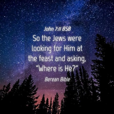 Picture 04 - John 7:11 BSB - So the Jews were looking for Him at the feast and - Bible Verse Picture